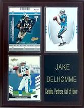 Frames, Plaques and More Jake Delhomme Carolina Panthers 3-Card 7x9 Plaque - £15.59 GBP