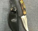 Kentucky Cutlery Company Stainless Steel Knife Wood Handle Sheath 3 Inch... - £9.49 GBP