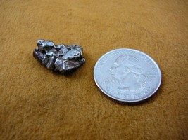 (x262-101) 6 g Campo del Cielo iron meteorite 1576 shrapnel fragment spe... - £12.65 GBP