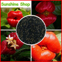 Red Lips Flower Seeds Rare Flower Pots Psychotria Elata Flower Seeds 100 pcs / b - £3.06 GBP