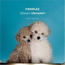 Poodles: Lightweights Littermates - Sharon Montrose New Poodle Book - £6.31 GBP