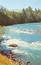 Olympic National Park Washington~The Elwha RIVER-MAN Fishing~Postcard - £6.36 GBP