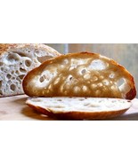sourdough yeast THE BEAST 16 yeast in 1 starter amazing bonanza - $10.63 CAD