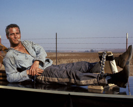 Cool Hand Luke Paul Newman In Chains Smoking Cigarette 16x20 Canvas Giclee - £55.94 GBP