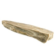 Petrified Wood South Dakota 9.7 Ounces 2” x 1" x 6" Wooden Rock Stone Fossil