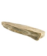 Petrified Wood South Dakota 9.7 Ounces 2” x 1&quot; x 6&quot; Wooden Rock Stone Fo... - $435.76 MXN