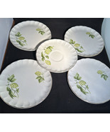 4+ WS George GE042 Salad Plates Fine China Bolero Green Pods &amp; Leaves Go... - £19.68 GBP