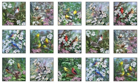 24&quot; X 44&quot; Panel Birds Bird-Watching Flowers Tweethearts Fabric Panel D48... - $8.63