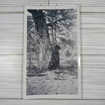 Vintage Photo Woman Wearing Dress Posing By Tree Original One Of A Kind B&amp;W - £7.37 GBP