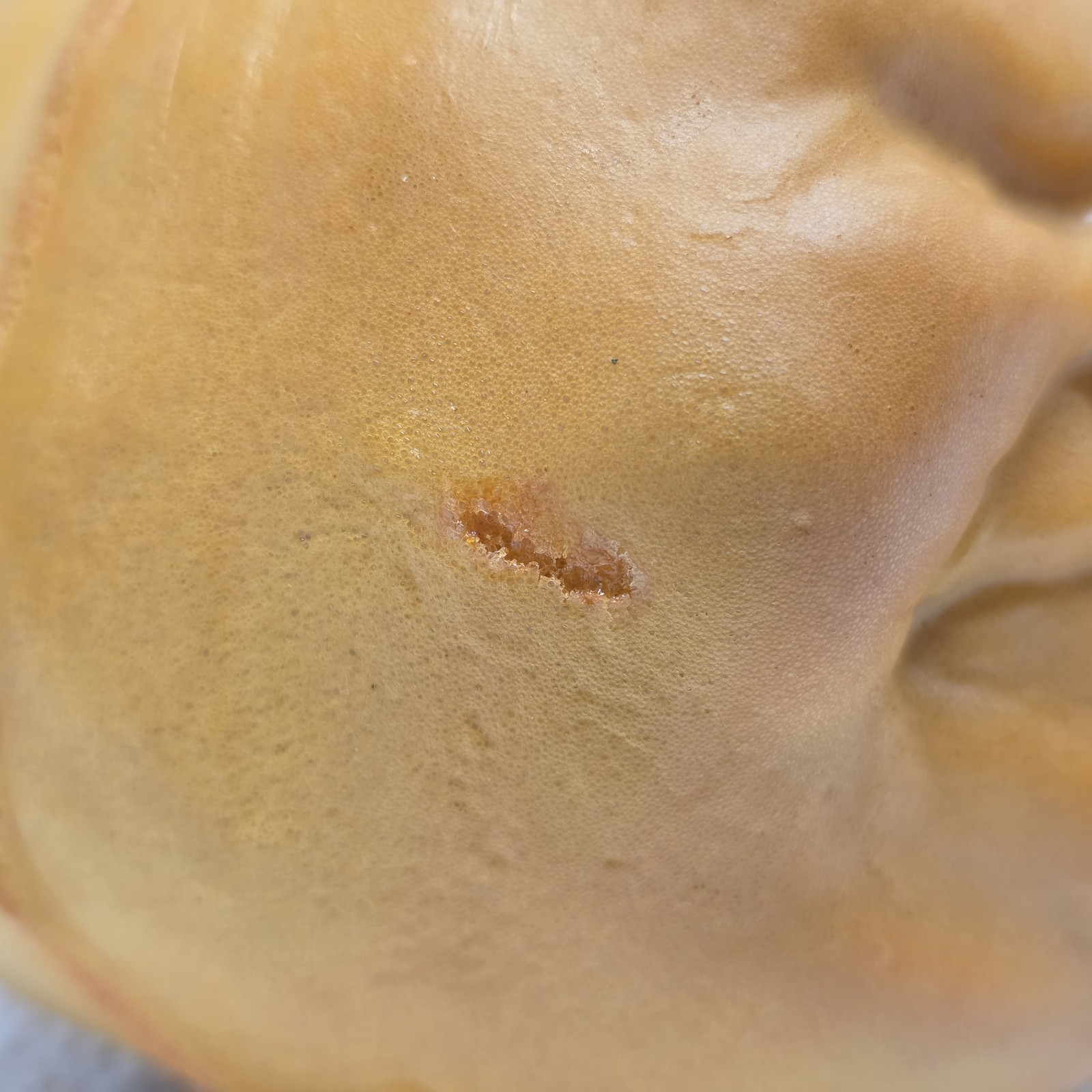 Vintage Todd Masters Jason Baby Oh Lantern Foam Pumpkin Halloween Jack O Lantern Item image 5