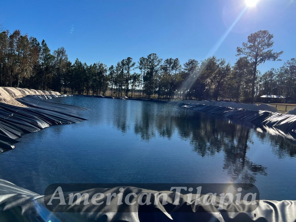 Pond liner 30 mill 20x25 Durable,Fish-plants pond,available,HDRPE,Free Shipping! Item image 13