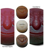 5 Piece 100 Percent Beeswax Melt Sample Fall Scents Pack - £5.64 GBP
