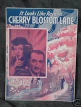 It Looks Like Rain In Cherry Blossom Lane - £1.93 GBP