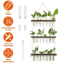 3 Tier Wall Hanging Planter Glass Test Tube Vase Plant Propagation +Wooden Stand - £43.15 GBP