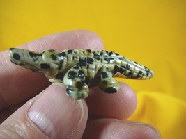 (y-all-551) ALLIGATOR Aligator Gator spot black white gemstone carving GATORS - £11.02 GBP