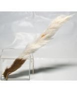 Premium Calf/Kip Tail for Fly Tying Jig Making White/Lt Brown #549 - €10,20 EUR