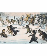 rp14610 - Louis Wain Cats , Snowballing - print 6x4 - $52.81 MXN