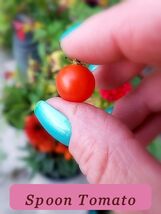 5914 spoon tomato pop thumb200