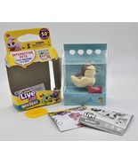 Little Live Pets NeeDees Dandee Duck Rare Interactive Toy New Open Box - $313.92 MXN
