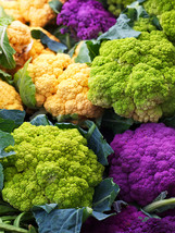 US Seller Broccoli Mixed Purple Romanesco Yellow New Fresh Seeds - $13.98