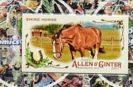 2017 Topps Allen and Ginter Mini Horse in the Race #HR14 Shire Horse - £3.15 GBP