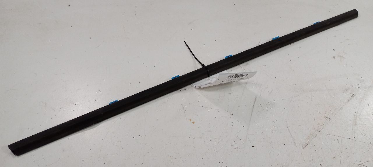 Hyundai Elantra Door Glass Window Weather Strip Trim Rear Left Driver Ba... - $27.96