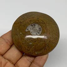 83.2g, 2.5&quot;x2.6&quot;x0.7&quot;, Goniatite (Button) Ammonite Polished Fossils, B30091 - £6.39 GBP