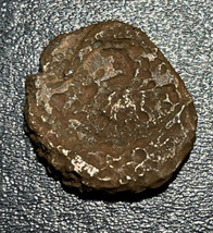 357-344 BC Grec Sicile Syracuse AE 17.9mm 2.72g Dauphin &amp; Pétoncle Coque Pièce - £22.20 GBP