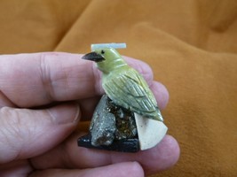 (Y-BIR-CA-454) Cardinal green blue bird gemstone STONE carving Peru card... - $17.89 CAD