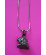 Meterorite Necklace W/ Chain Campo Del Cielo 5.1 Grams Genuine Dino Girl... - $29.99