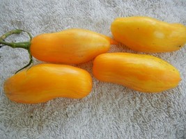 15 Pcs Banana Legs Tomato Seeds #MNHG - £11.41 GBP