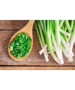 Dried Spring Onions - All-Natural, Flavorful &amp; Nutrient-Rich Garnish! 100 g - $236.84 MXN