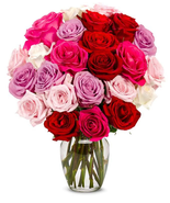 - Two Dozen Romantic Roses for Birthday, Anniversary, Get Well, Congratu... - €98,83 EUR