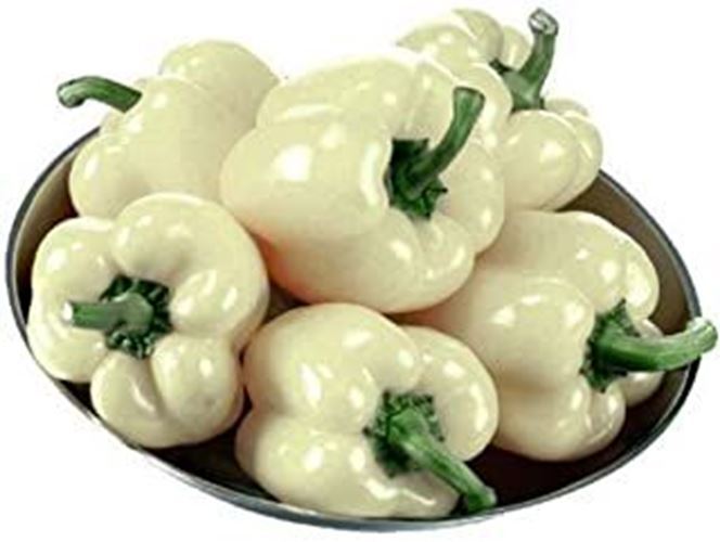 PM Diamond White Bell Pepper Seeds - A Must for Gourmet Home Gardeners.!... - $3.98