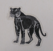 Tiger X-Ray Transparent Sticker 2.25&quot; x 2&quot; (AM) - $1.64