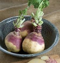 Rutabaga, American Purple Top Rutabaga Seeds, Heirloom, Organic, Non GMO, 20+ Se - £1.59 GBP