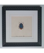 Insect, Art Print, Framed Cimex Oleraceus 14"X14" - $65.77