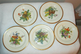 PICKARD HAND DECORATED 6&quot; ACORN PLATES 5 PIECES - $53.48