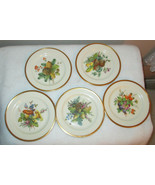 PICKARD HAND DECORATED 6&quot; ACORN PLATES 5 PIECES - £42.74 GBP