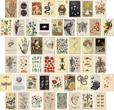 Koskimer 50Pcs Vintage Wall Collage Kit Aesthetic Pictures,, Botanical Wall Art - £19.17 GBP