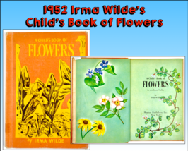 Iris Wilde: Child&#39;s Book Of Flowers, 1ST Edition, 1952 Color Lithograph Plates - £17.68 GBP