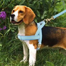 Customizable Pet Harness And Leash Set - $43.51+