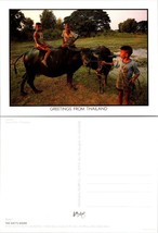 Thailand Day&#39;s Work Children Playing in Paddy Field on Buffalos Vintage Postcard - £7.51 GBP