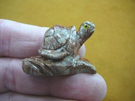 Y-TUR-LA-219) little red baby Turtle on branch soapstone carving stone FIGURINE - £6.79 GBP