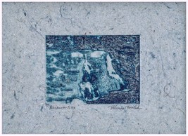Blackwater Falls zinc plate etching aquatint on handmade paper - £15.97 GBP