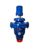 A.R.I. D-060-CHFT Combination Air Valve 2in NPT - €1.374,93 EUR