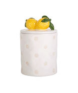 59 Oz Wax Resist Dots Ceramic Canister With Lid-Lemons Finial - $44.14