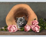 Adorable Kitten In Straw Hat W Pink Roses Cat Kitty UNP DB Postcard N9 - $6.88