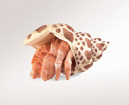 Hermit Crab Puppet - Folkmanis (2867) - $27.89
