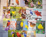 Birds &amp; Blooms Magazines Lot of 21 from 2017-2020 Used - $32.62